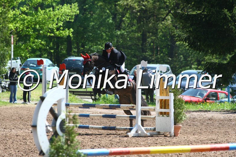 104M8278_SpringWB E.JPG